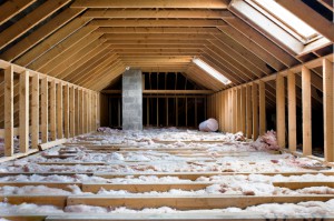 Roseville Attic Inspection