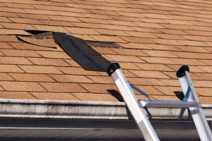 San Jose Roofing Inspection